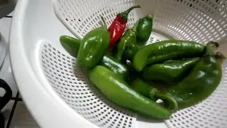 Chili Peppers, Roasting & Peeling, My Technique