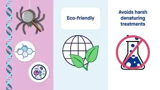 RRH: Self-assembly of spider silk