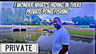 Fishing a private pond in Fort Worth, Texas loaded with bullhead catfish ￼