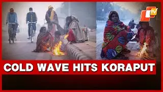 Cold Wave Grips Odisha&rsquo;s Koraput, Daily Life Takes Hit