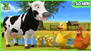 🐮 ¿Dónde Está Lau Lau? 😱 | Canción de Tico en la Granja | Canciones Infantiles 50 min