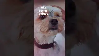 Spring: Your Better Video Editor