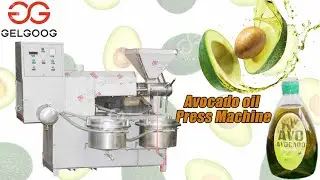 Avocado Oil Press/Extraction Machine For Sale High Oil Yield