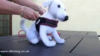 Boomerang Dog Harness by Doodlebone