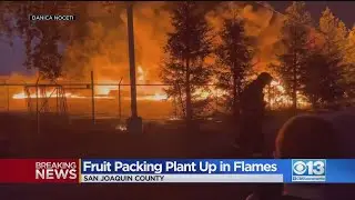 Plastic Bins Go Up In Flames At Fruit Packing Plant Near Stockton