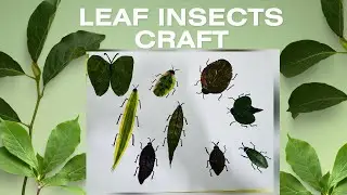 Leaf Insect Craft for Kids | Fun DIY Bug Art with Leaves 🌿🐞🦗