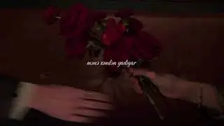 Solmuş Qırmızı Güllər ( Lyrics Video )