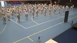 Zendokai 2018 International camp -300+ team kata Heian shodan