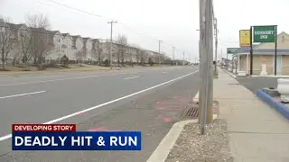Woman killed in hit-and-run crash on Black Horse Pike identified