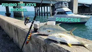 Fishing florida keys bridges.#SUBSCRIBE  FOR MORE. 