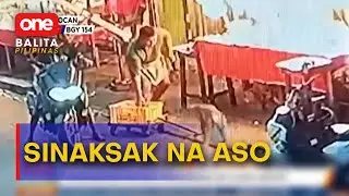 Tindero, wanted matapos saksakin ang isang aso sa Caloocan | One Balita Pilipinas