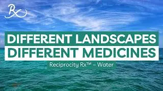 How does water help us heal? Reciprocity Rx&trade; - Water 