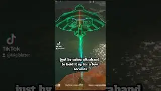 How to Launch wings ANYWHERE in TOTK #tearsofthekingdom #zeldatearsofthekingdom