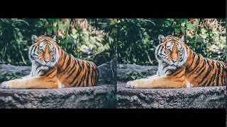 Adobe Photoshop Oil Painting Plugin Tutorial | Free Download | 2019