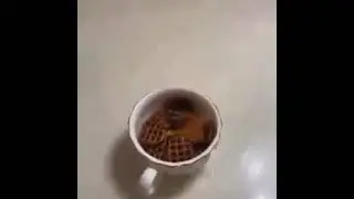Pretzels on fucking fire
