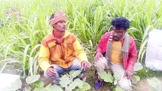 ফানি ভিডিও