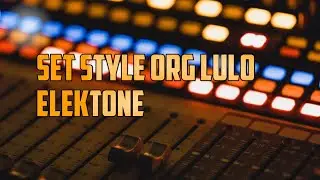 SET STYLE ORG LULO ARINDI ELEKTONE