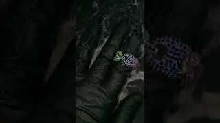 Gucci link ring white gold fully iced diamond multicolored