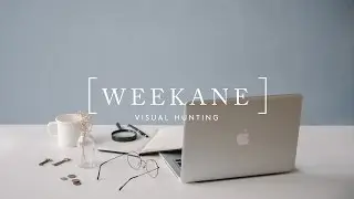 WEEKANE: Visual Hunting