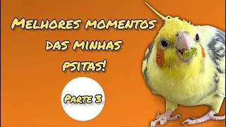 🤩Best Moments - Part 3