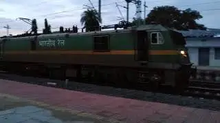 Single WAG9 honking