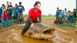 Harvesting Giant Longtooth Catfish & Go to Market Sell | Fishing for giant catfish weighing 500kg