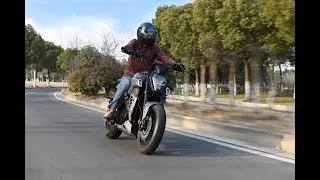 Alrendo Motorcycles All New 2021 TS Bravo