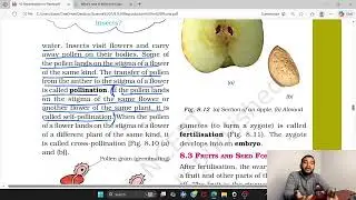 Class 7 || Science || Reproduction In Plants || Part 3