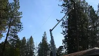 Spokane arborist Joseph Vogrig topping tree from bucket truck (tight fit!)