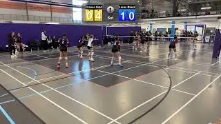 Cranes vs Lions at Spray Lakes Center Jan25-2026