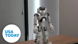 Socially assistive robots help stroke, brain injury patients in rehab | USA TODAY