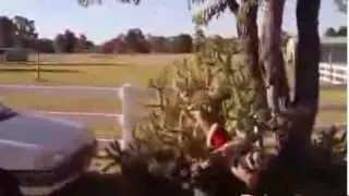 Fail Compilation   October 2013