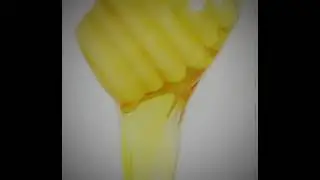 Honey edittt #honey #edit #slowmotion #fyp #cool #bee #honeybee #bumblebee 