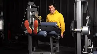 Seated Hamstring Curl | Perfect Form for Stronger, Defined Hamstrings