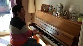 The Wind Beneath my Wings sung by me