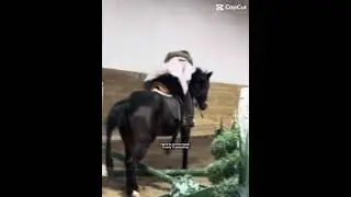 Real😔 #horse #equestrianjourney #horseenthusiast #fyp #viral #relatable #pony #age #sad