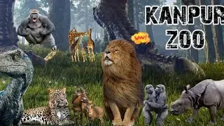 kanpur zoo | kanpur zological park | Allen forest zoo kanpur | Altmash khan