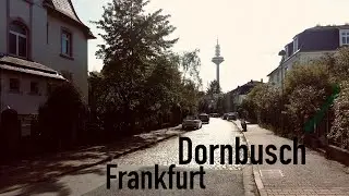 Late Summer Walk Frankfurt Dornbusch 🏡🏛️