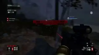 Zed slaughter