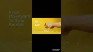 Cob Corn Stripper