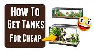 How to get AQUARIUMS (fish tanks) for CHEAP!