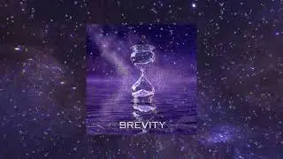 Brevity