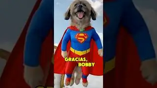 Hasta siempre, Bobby: El perro valiente y protector de nuestra manada 🐾💔