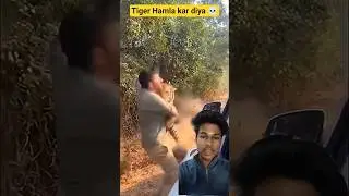 Tiger hamla kar diya 💀💀 #shorts #ytshorts #viral #tiger #ai #trending #reaction