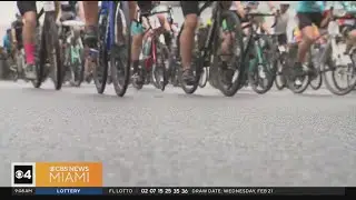 Dolphins Challenge Cancer kicks off at Hard Rock Stadium