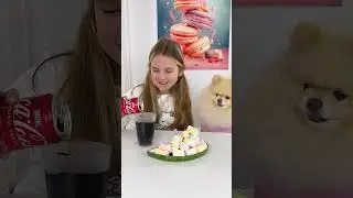 Wow 😜 CUTE and FUNNY Dog Revenge Gone Wrong! 🤣 #milaniacat #funnyshorts #tiktok #viralshorts
