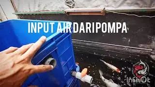 TRICKLE FILTER BOX CONTAINER - FILTER MINIMALIS KOLAM KOI