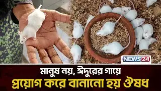 সাদা ইঁদুরের খামার করে লাখপতি ! | Rat Breeding | White Rat | Rat Farming | News24 Special