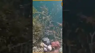 Live Accident 💔😭डेम मे Gyi Gadi Do Log on the spot dead 🥺(Chamba H.P) #chambanews