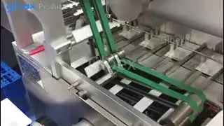 GSW042-Continous Model High Speed Carton Packing System 4+Weight checker